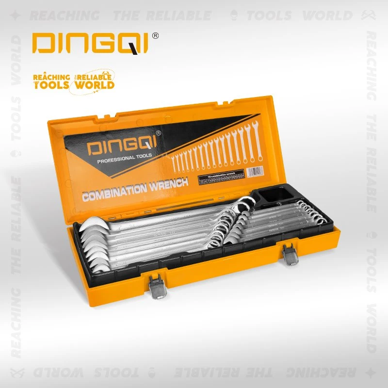 Combination 16pcs Tes Wrench Set Case