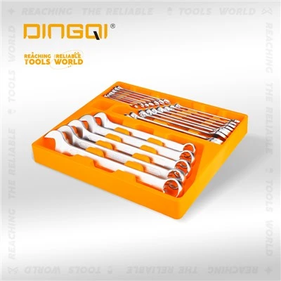 21PCS Tes Wrench Set